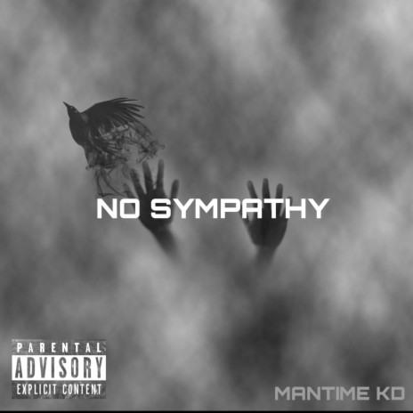 No Sympathy | Boomplay Music