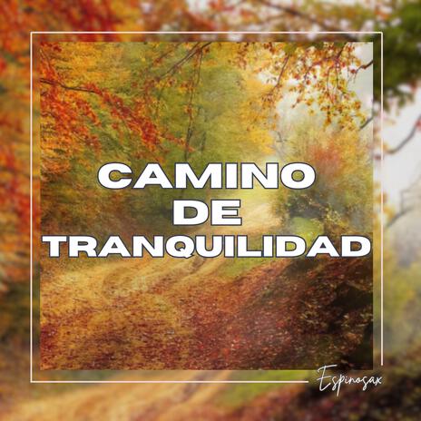 Camino de Tranquilidad