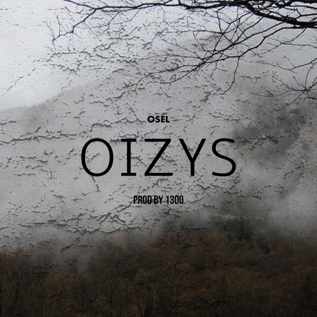 Oizys | Boomplay Music