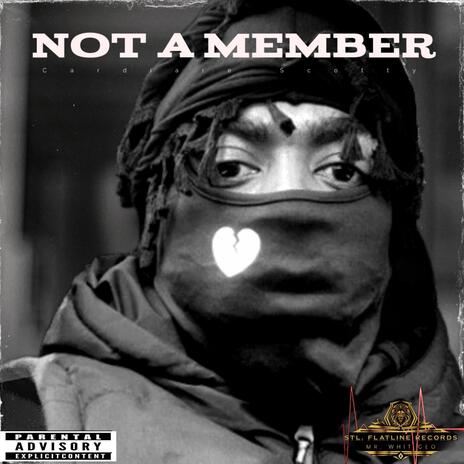 Not A Member (solo) | Boomplay Music