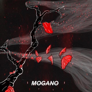 Mogano