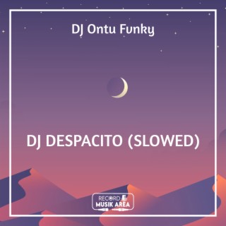 DJ DESPACITO (SLOWED)