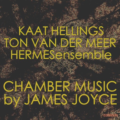 XXVIII Gentle lady ft. Ton van der Meer & HERMESensemble | Boomplay Music