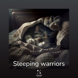 Sleeping warriors