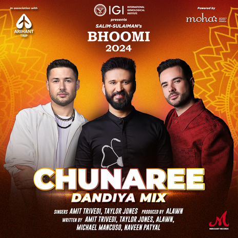 Chunaree - Dandiya Mix (From Bhoomi 2024) ft. Taylor Jones & Alawn | Boomplay Music