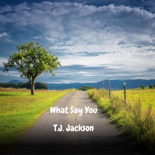 What Say You lyrics | Boomplay Music