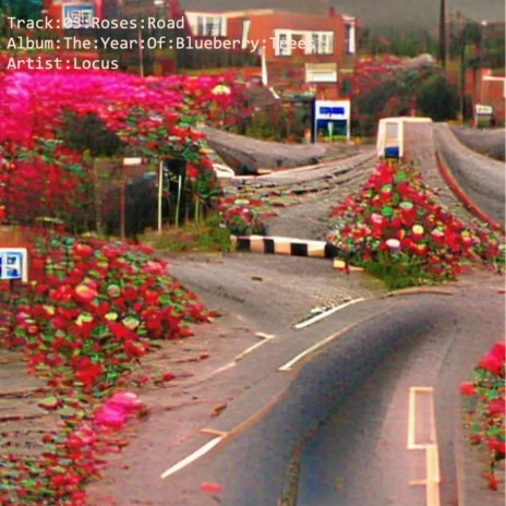 Roses Road | Boomplay Music