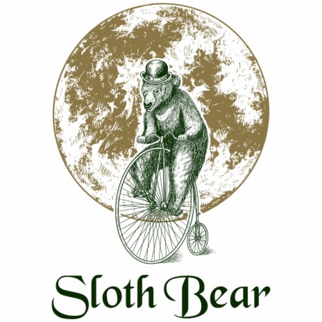 Sloth Bear | Boomplay Music