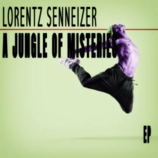Lorentz Senneizer