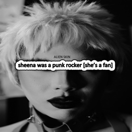 Sheena Was a Punk Rocker (She's a Fan)