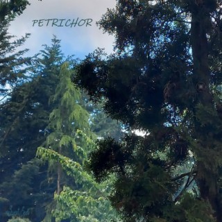 Petrichor