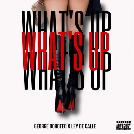 WHAT'S UP ft. Ley De Calle | Boomplay Music