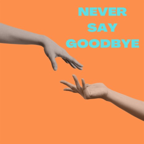 NEVER SAY GOODBYE | Boomplay Music