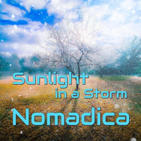 Sunlight in a Storm | Boomplay Music