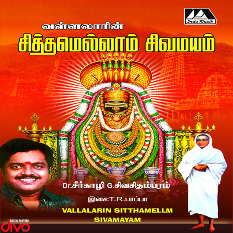 Thannaiyattrindhu ft. Thiruthuraipoondi Radhakrishnan Pappa & C. Pandian | Boomplay Music