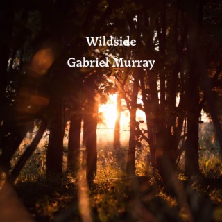 Wildside lyrics | Boomplay Music