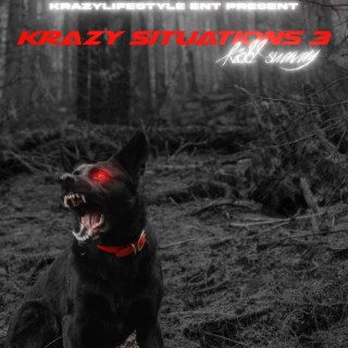 Krazy Situations 3