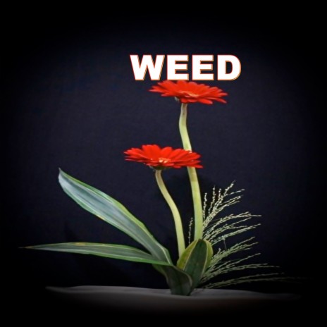 WEED | Boomplay Music