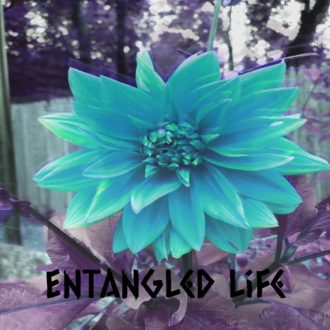Entangled Life | Boomplay Music