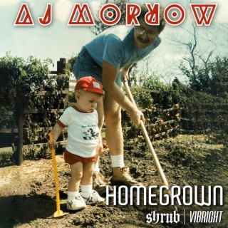 Homegrown ft. Shrub & Vibright lyrics | Boomplay Music