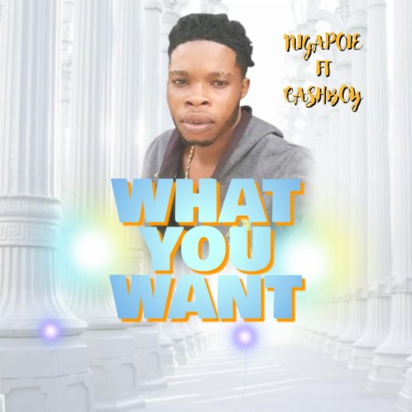 WHAT YOU WANT (feat. CASH BOY) | Boomplay Music