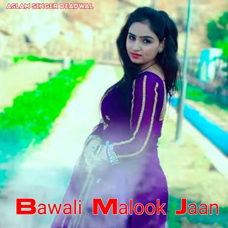 BAWALI MALOOK JAAN | Boomplay Music