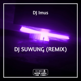 DJ SUWUNG (REMIX)