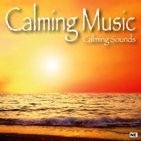 Calm Music for Studying | Boomplay Music