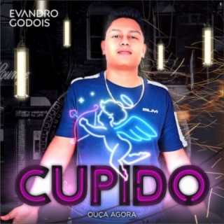 Evandro Godois