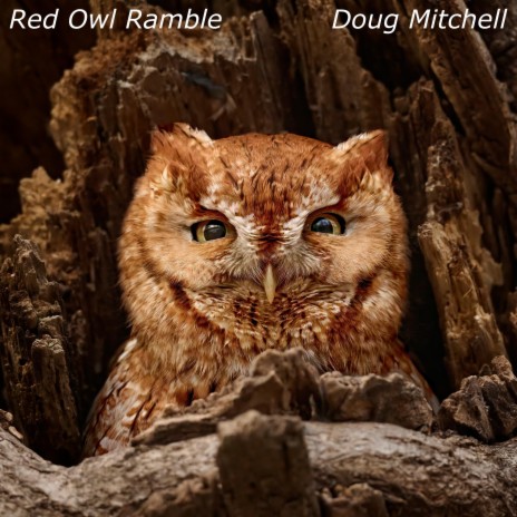 Red Owl Ramble | Boomplay Music