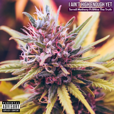 I Ain't High Enough Yet ft. BNice Tha Truth | Boomplay Music