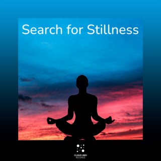 Search for Stillness