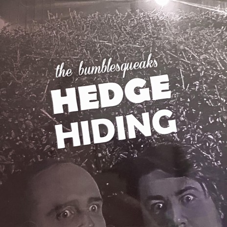 Hedge Hiding