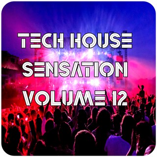 Tech House Sensation, Vol.12 (BEST SELECTION OF CLUBBING TECH HOUSE TRACKS)