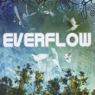 Everflow