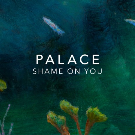 Shame On You | Boomplay Music