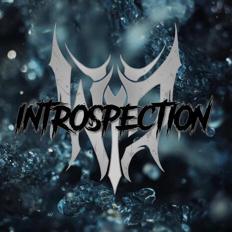 Introspection | Boomplay Music