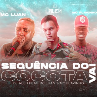 Sequência do Vai Cocota