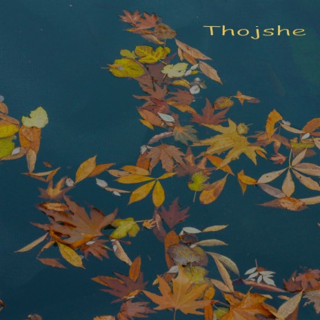 Thojshe | Boomplay Music
