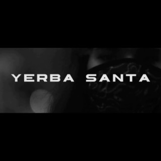 YERBA SANTA