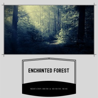 Enchanted Forest: Ancestral Beats