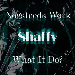 Nogsteeds Work / What It Do?