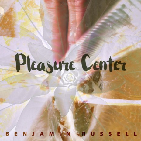 Pleasure Center | Boomplay Music