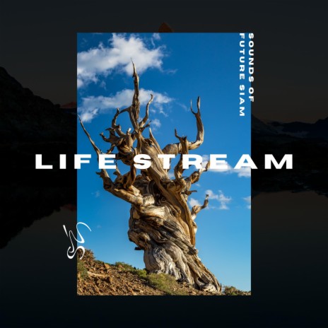 Life Stream | Boomplay Music