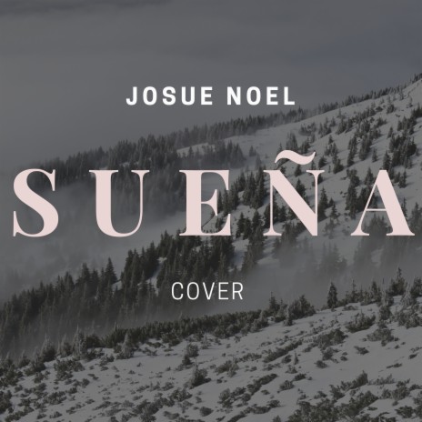 Sueña (Cover) | Boomplay Music