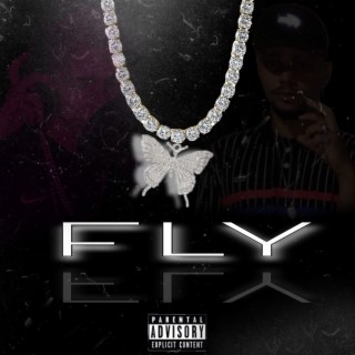 Fly