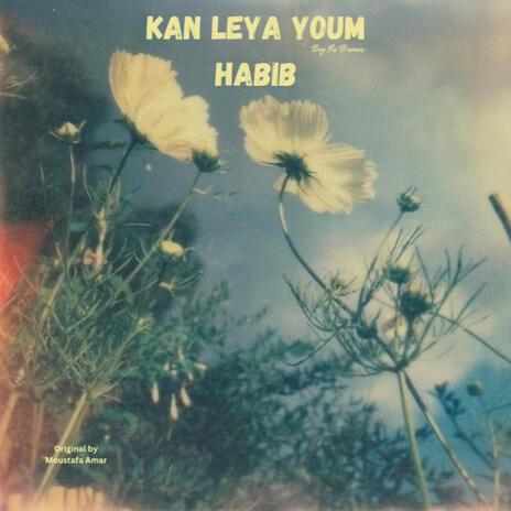 Kan Leya Youm Habib | Boomplay Music