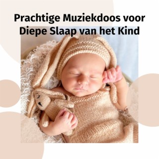 Prachtige Muziekdoos voor Diepe Slaap van het Kind