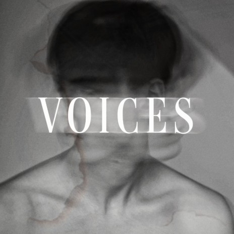 Voices | Boomplay Music