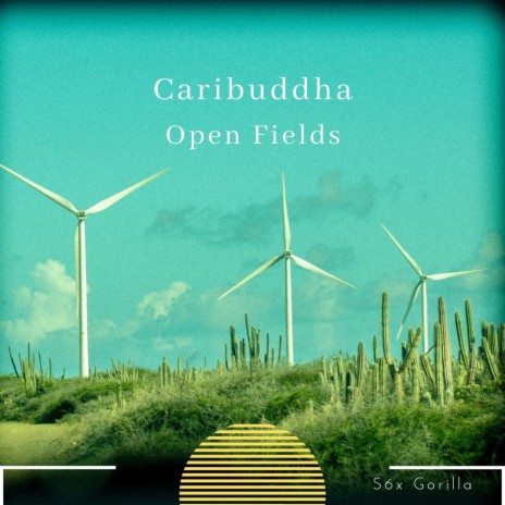 Open Fields (Spacial Awareness) | Boomplay Music